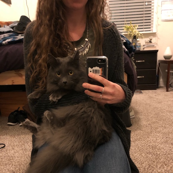 alyssaleem22